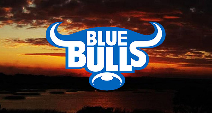 blue bulls background